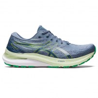 Кросівки для бігу чоловічі Asics GEL-KAYANO 29 Steel blue/Lime zest